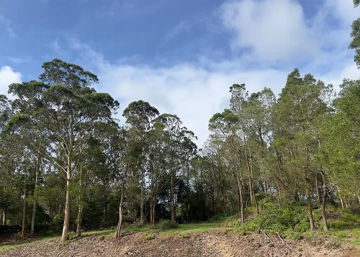 Kwatera prywatna Quinta Da Vigia